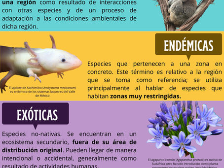 Clasificando Especies