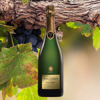 Bollinger Rd 2007.png