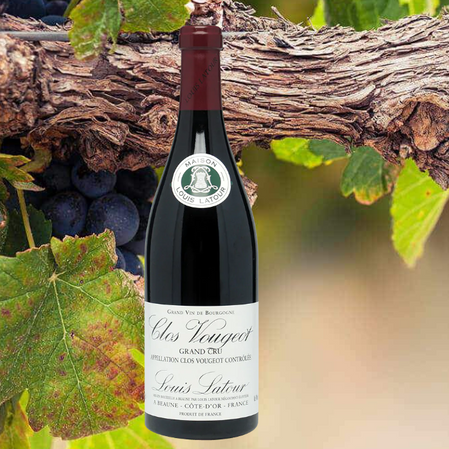 路易拉图黑比诺葡萄酒 2018.png