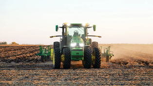 This Key Grain May Be Ready for a Healthy Gain