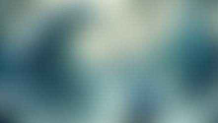 Navigating the Markets