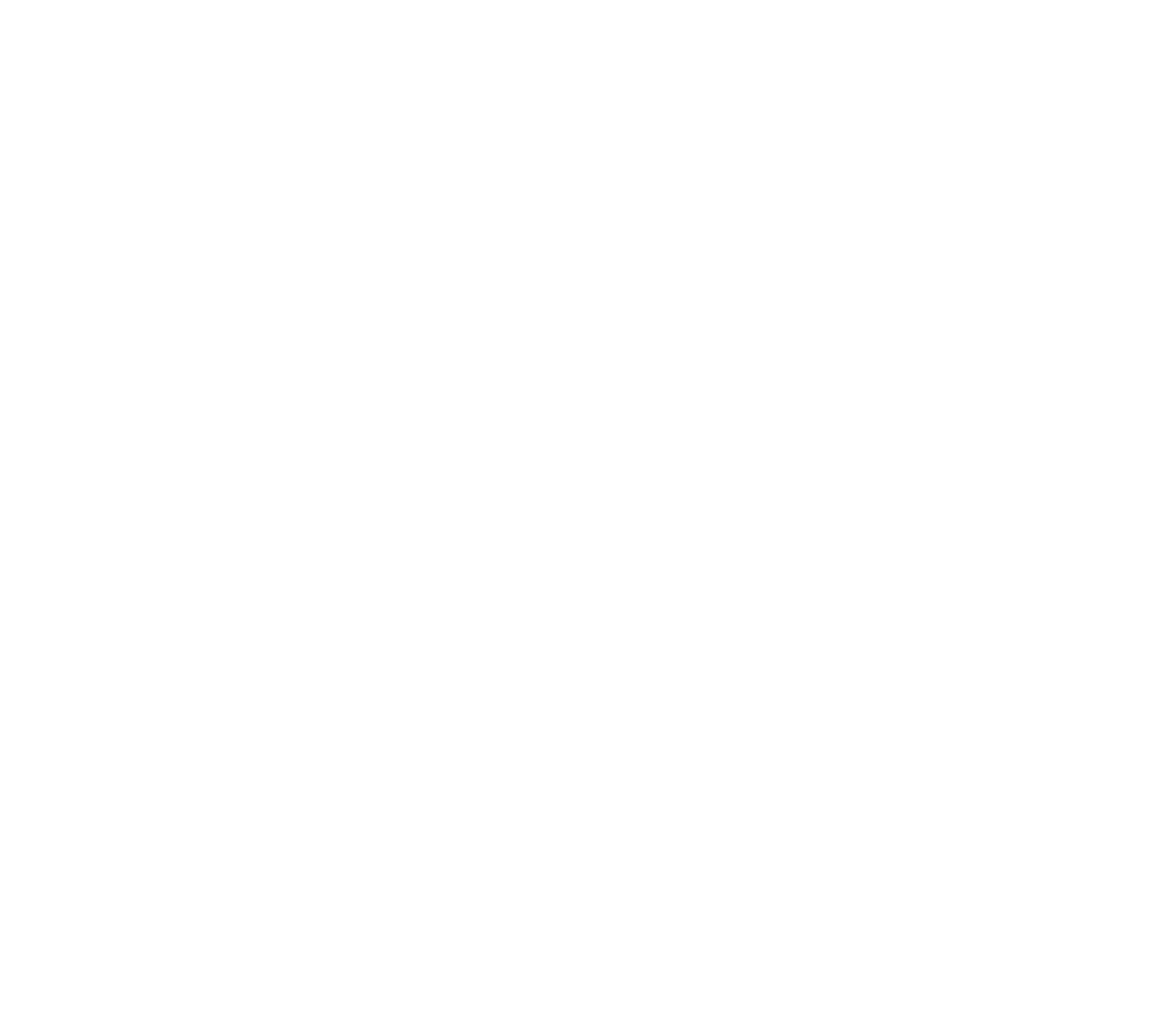 tropic air kenya icon white.png