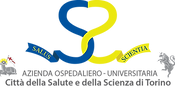 logo_CSST_2014_ORIG.png