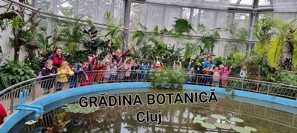 WhatsApp Image 2023-04-03 at 14.21.01 (29)