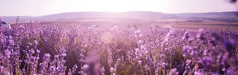 nachhaltiges-handeln-top-banner_jpg.webp