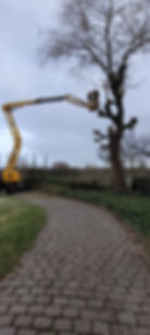 Tuin & Herstel Piro Dries