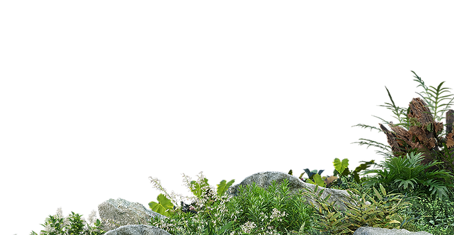 Vilain Guy Garden Styling 