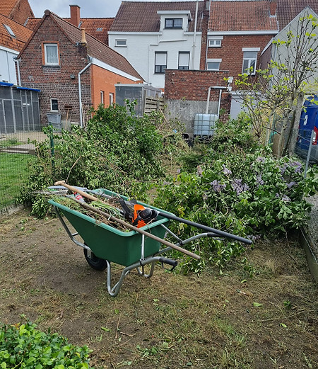 Tuinonderhoud