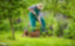Tuinwerken Vilain Guy Garden Styling