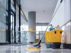 Schoonmaak onthaal