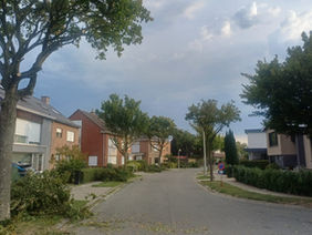 Bosbouw Gunter De Bruyn