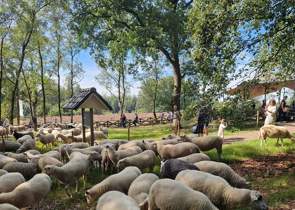 De Lemelerberg