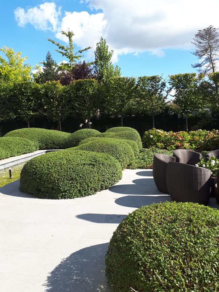Tuin onderhouden
