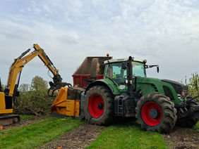 Bosbouw Gunter De Bruyn
