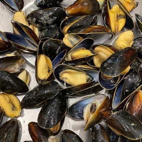 Mossels