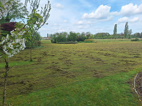 Tuin & Herstel Piro Dries