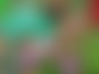 Maak uw tuin klaar voor de lente