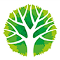FDV PROJECTS website
