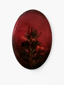 Troost II - Thibo Moreels