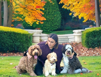 La Maison Des Doodles Australian Labradoodles