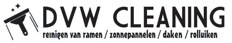 DVW CLEANING