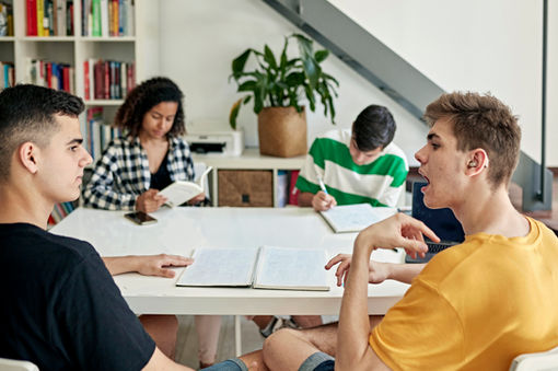 Logopediste Van Bellinghen Dominique