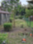 Tuin onderhoud na