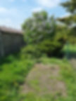 Tuin onderhoud voor