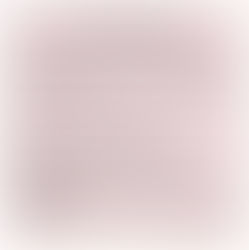 ICE逮捕行动引恐慌！签证在手就万无一失了吗？