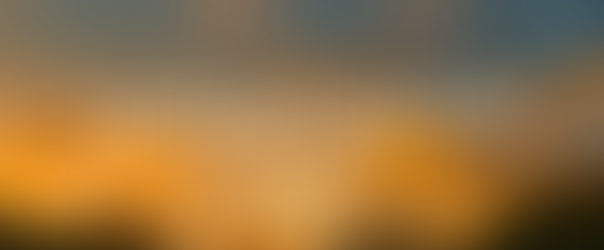 特朗普“金卡”项目正式上线,即日起开放申请!