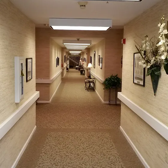 Wallpaper Mr Wallpaper United States