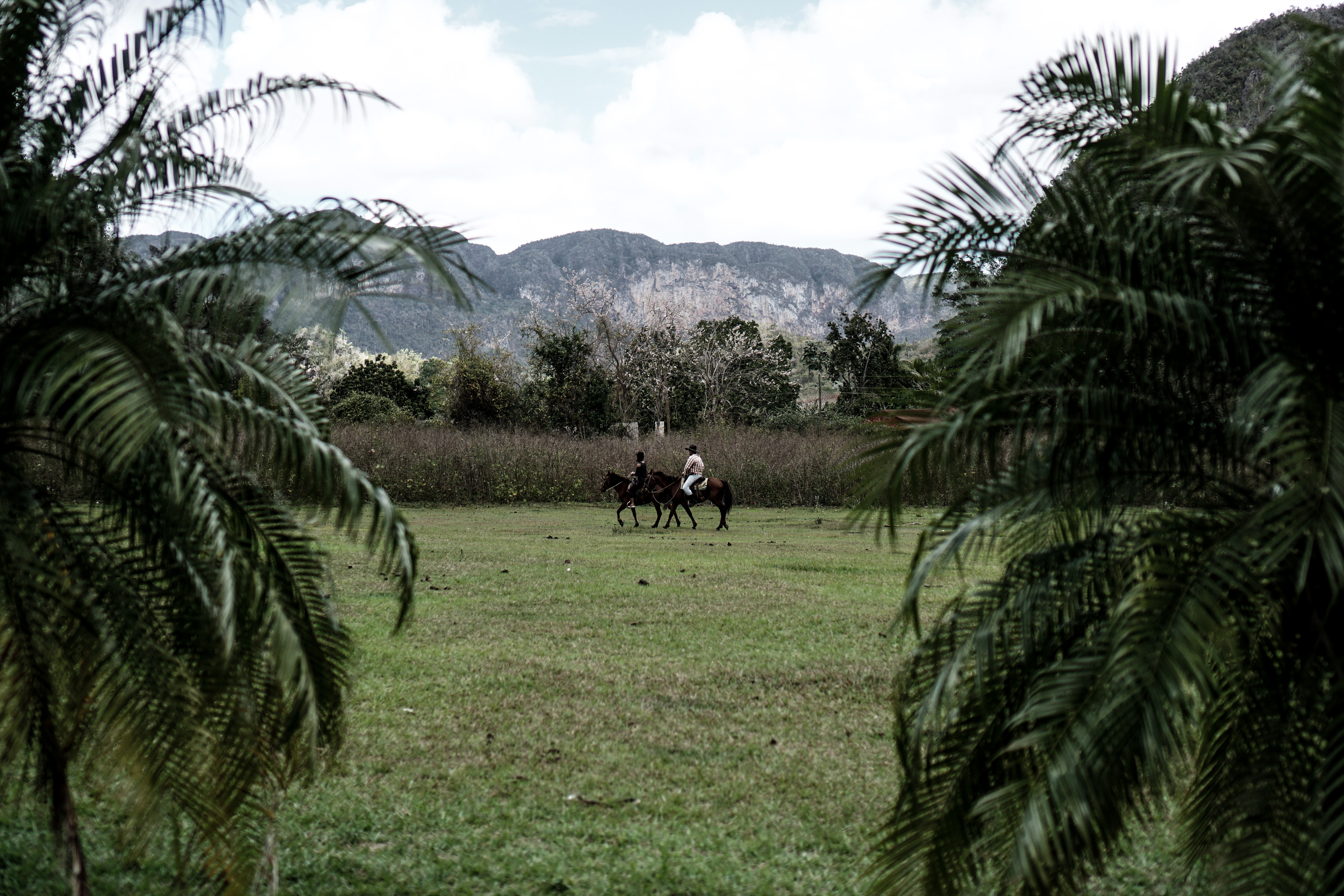CUBA: Viñales