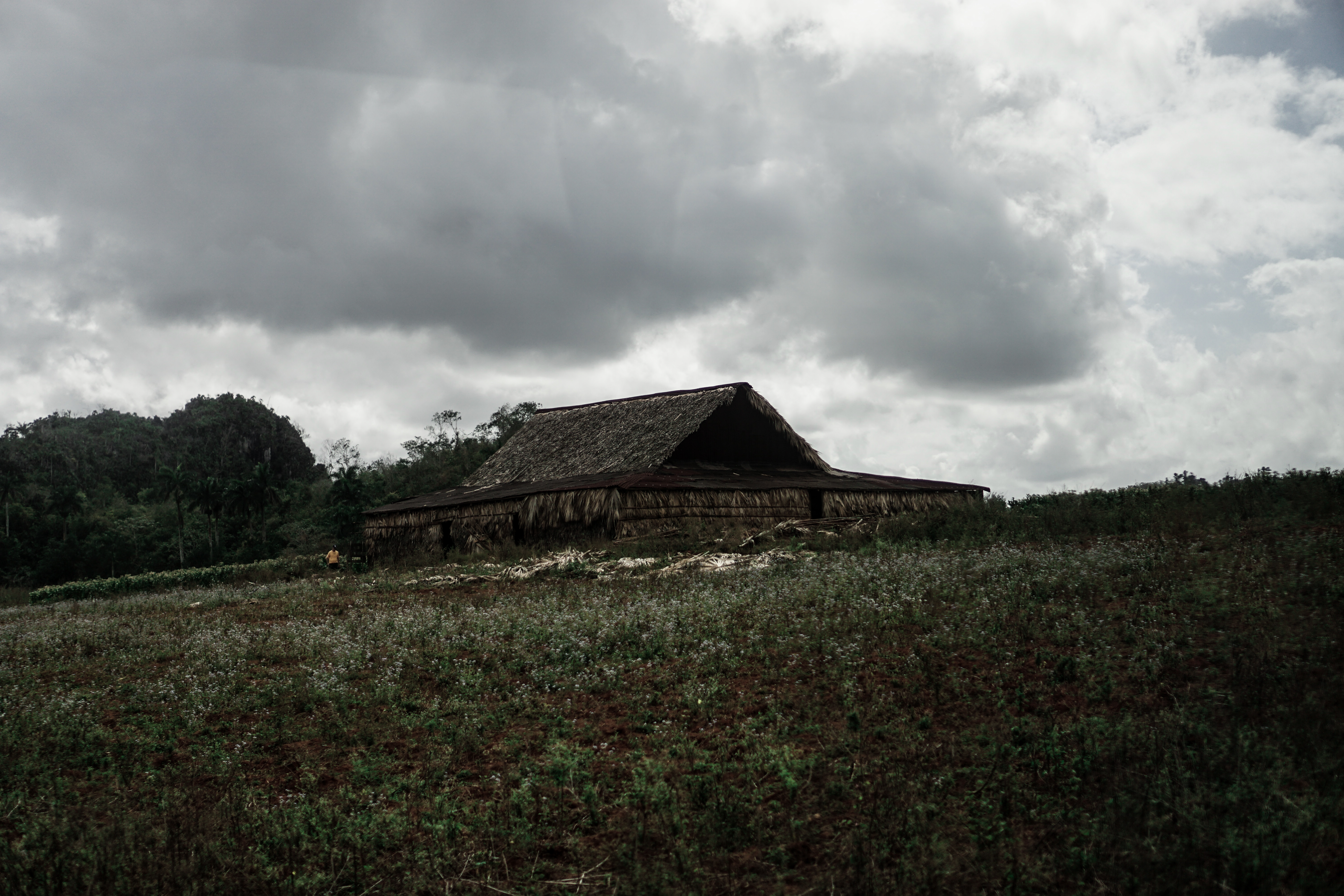 CUBA: Viñales