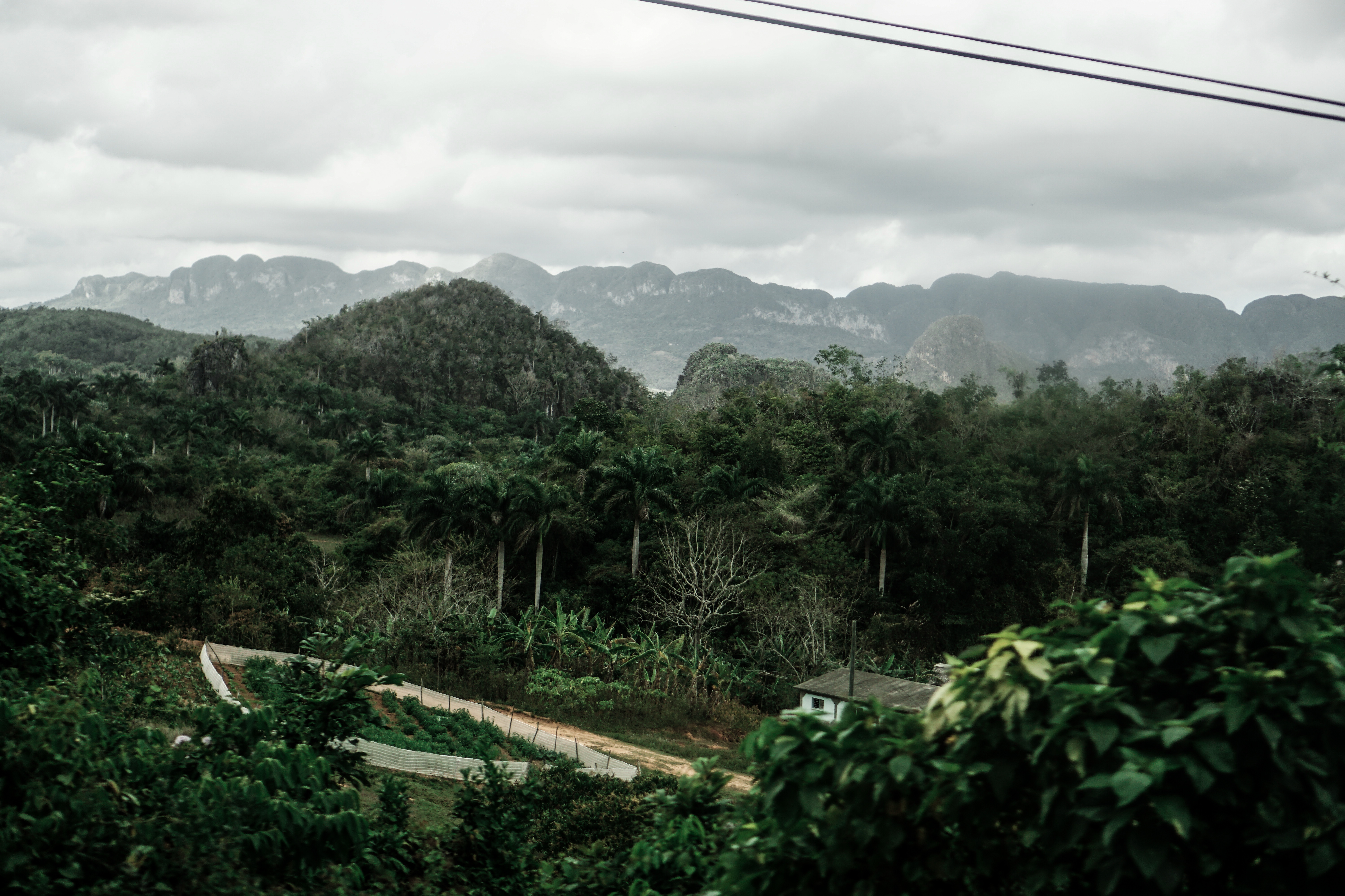 CUBA: Viñales