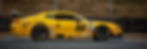 Trans Am - Side Profile_edited.jpg