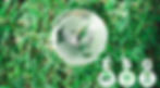 ESG 1_edited.jpg