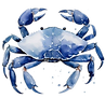 idvis-removebg-preview.png
