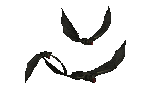transparent-gif-bat.gif