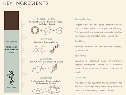 Screenshot 2025-10-08 203833.png