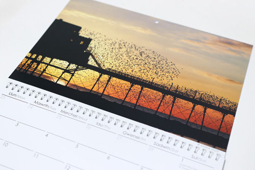Thumbnail: Murmurations 2027 Calendar A4 Bilingual 
