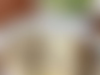 Week 5 and 6 Eating Disorder Recovery Update (Sam)