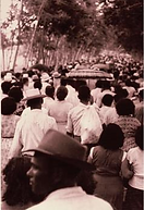 28.bmp