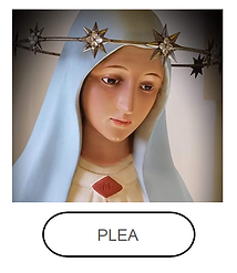PLEA.png