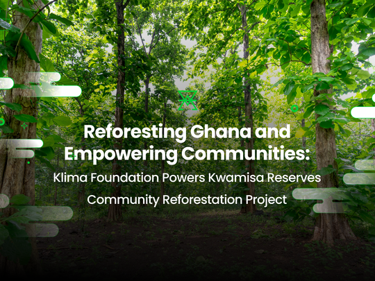 Reforesting Ghana and Empowering Communities: Klima Foundation Supports the Kwamisa Community Forest Project