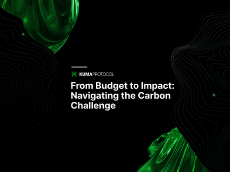 Understanding the Carbon Budget: Why Carbon Removals Matter More Than Ever