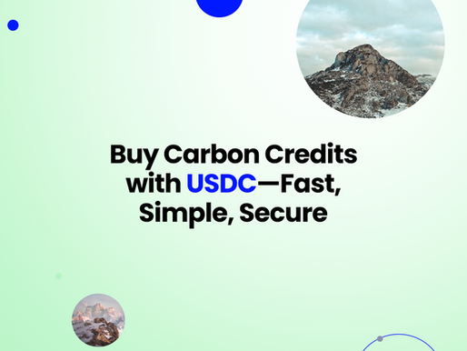 New Feature: Seamlessly Purchase Carbon Credits with a Stable Digital Dollar