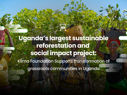 Klima Foundation Champions Grassroots Climate Action, supporting GRO Foundation’s Afforestation Project in Uganda