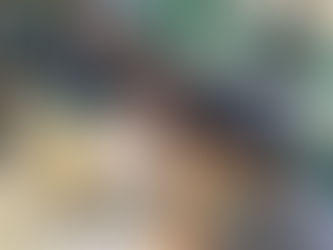 Read Between the Lines