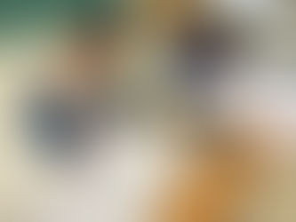 Mastery Loves Company