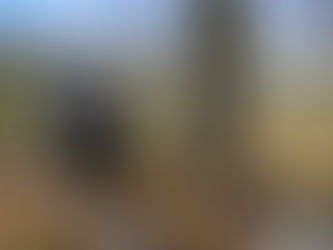 Clearing for Kindness